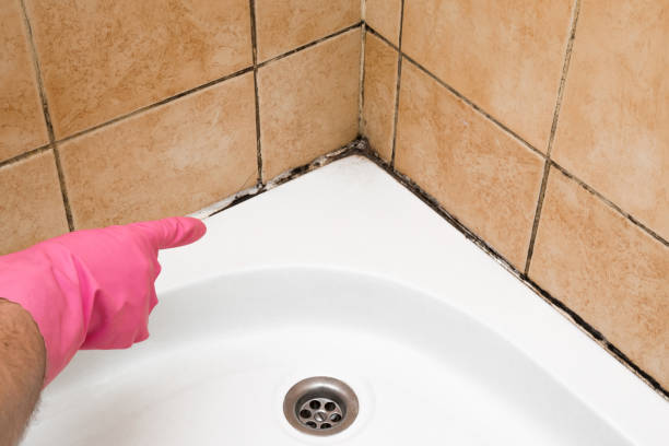 Best Emergency Mold Removal  in Kingston, OK